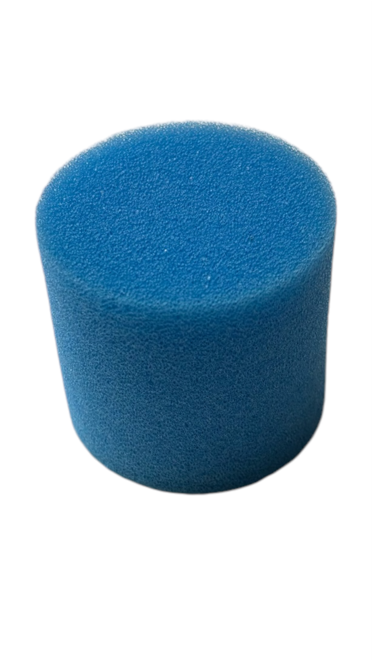 Sponge small