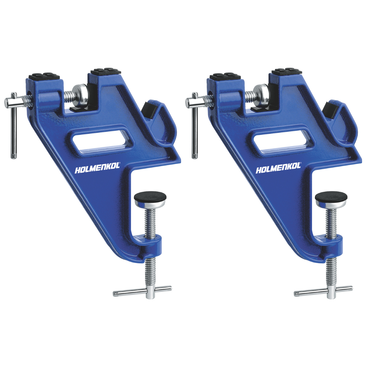 Easy Ski Vise
